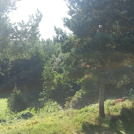 Apartamenty Warka Apartment Warka