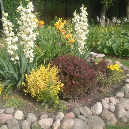 Apartamenty Warka * Warka