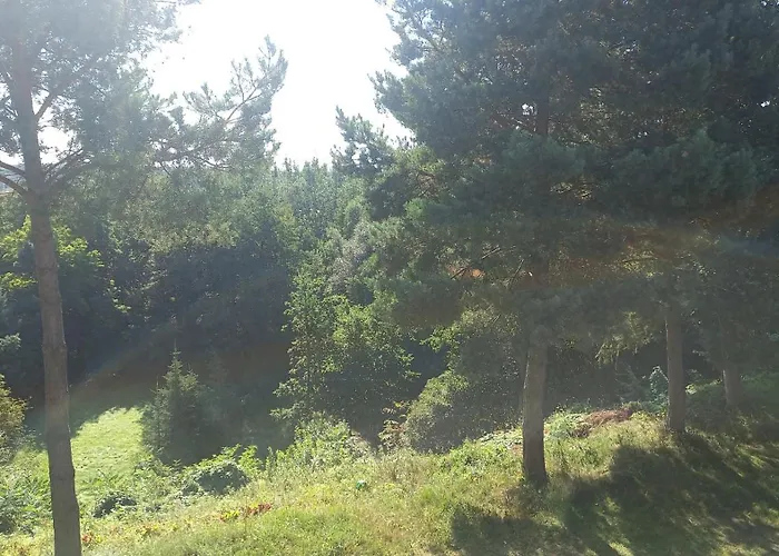 Apartamenty Warka Daire Warka